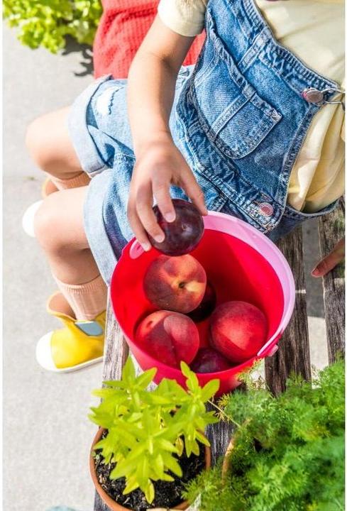 Actual product image Quut Bucket Bucki? Red Cherry 2 parts, age recommendation