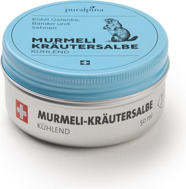 Nährwerte und Zutaten Puralpina Murmeli-Kräutersalbe kühlend (1 x, 50 ml, 70 g)