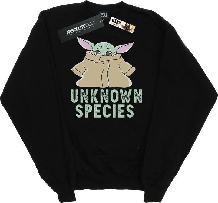 Star Wars The Mandalorian Unknown Species Sweatshirt (XXL)