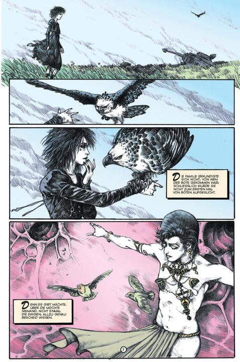 Actual product image Panini Sandman Deluxe (German, Neil Gaiman, Bill Sienkiewicz, Milo Manara, Frank Quitely, Bryan Talbot, 2019)