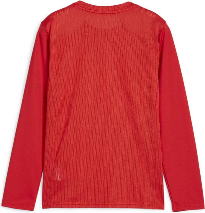 Immagine prodotto Puma Maglia TeamGOAL LS Jr (152)