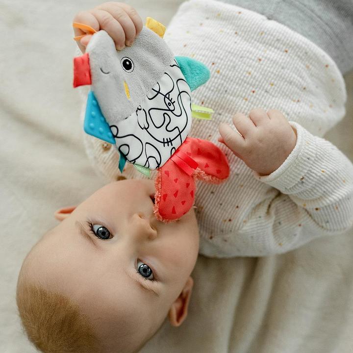 Image du produit Fehn Poisson crépitant DoBabyDoo