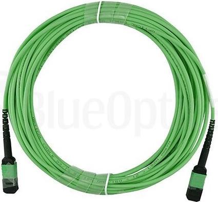 Image du produit BlueOptics Fibre optique MTP/APC Câble trunk OM5 16 coeurs 50 mètres type C (50 m)
