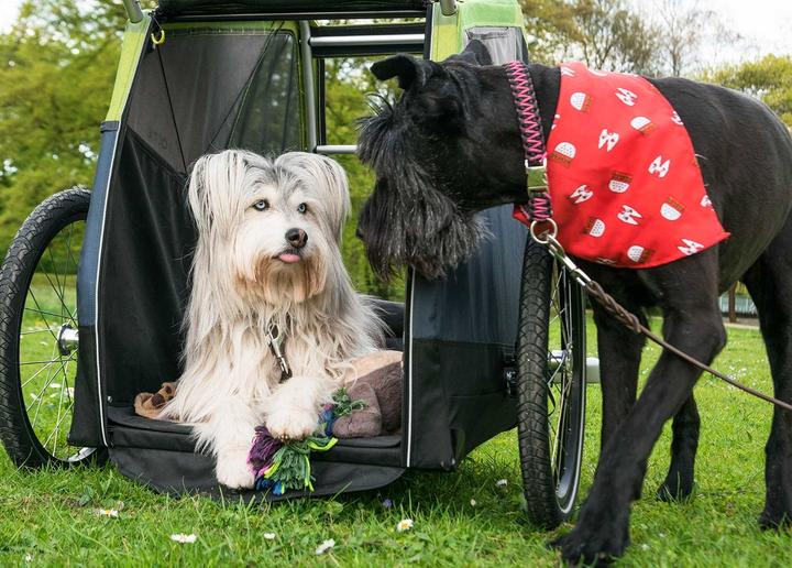 Image du produit Croozer Dog Jokke
