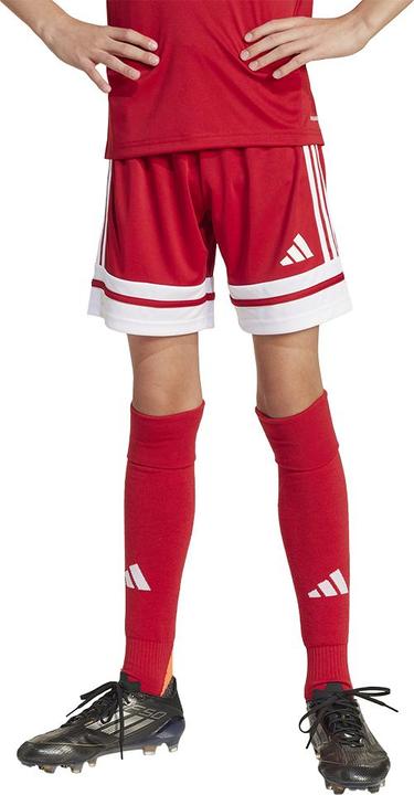 Produktbild adidas Squadra 25 Short Kids (164)
