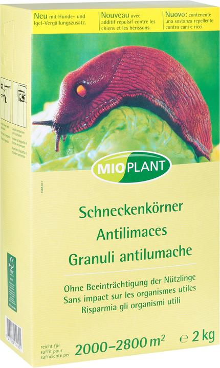 Mioplant Graines de limaces (Escargots)