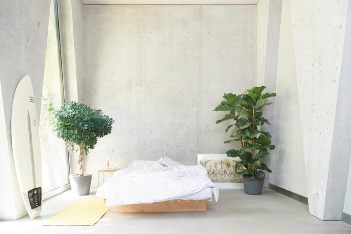 Actual product image lavie Louise (Pillowcase, 65 x 100 cm)