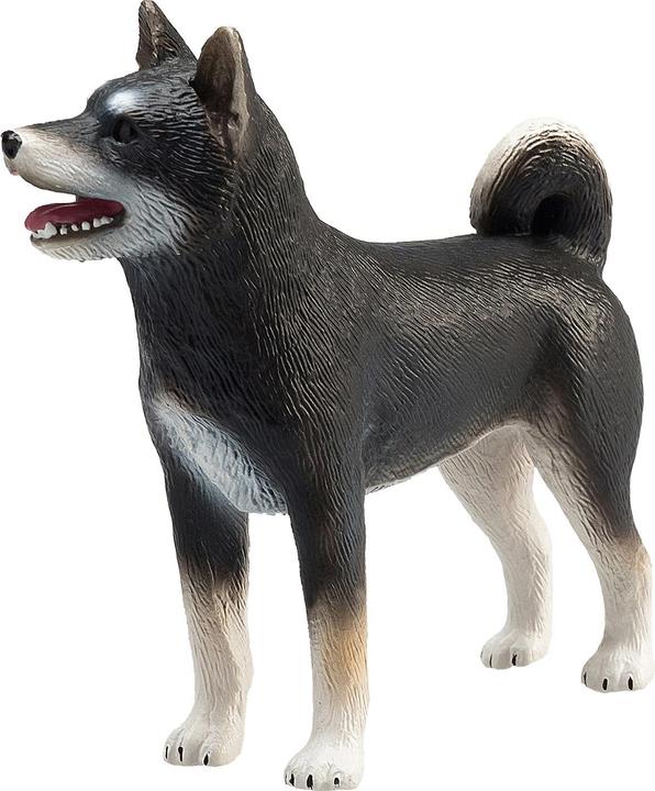 Actual product image Animal Planet Shiba Inu
