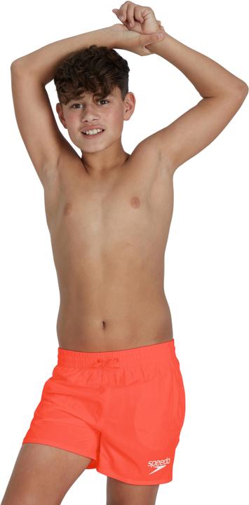 Actual product image Speedo Essential 13" Watershort (L)