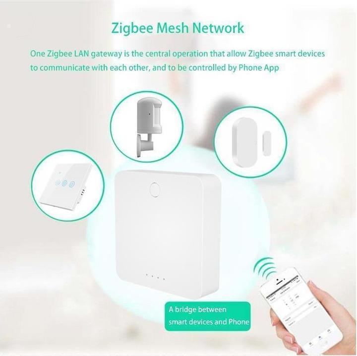 Image du produit Netplus NPLZJMWZG2 - Hub LAN Zigbee de