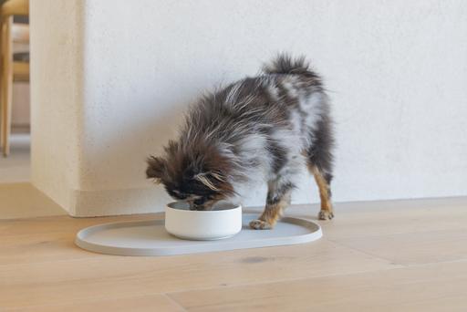 Actual product image Designed by Lotte Lojs dog bowl (0.43 l)