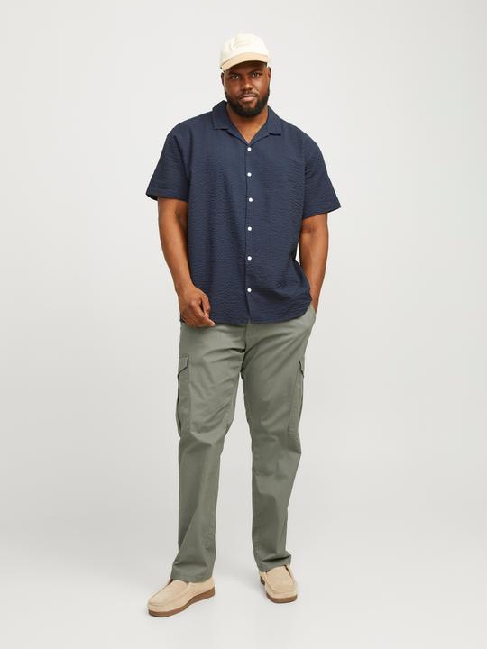 Actual product image Jack & Jones Jpstace Jjsummer Cargo Pls (W42/L34)