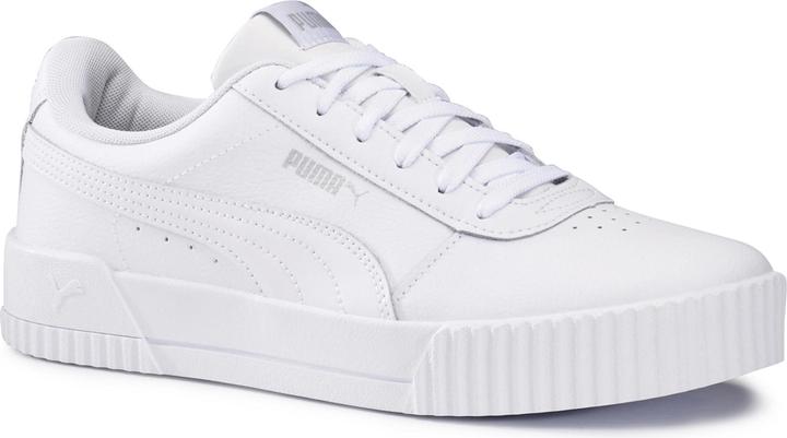 Puma Carina (36)