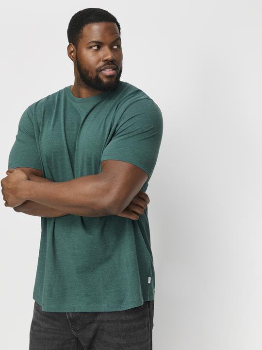 Produktbild Jack & Jones Jjeorganic Mel Tee Ss O-Neck Noos Pls (8XL)