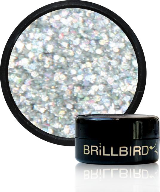 Produktbild BrillBird Dual Holo Glitzer - H6