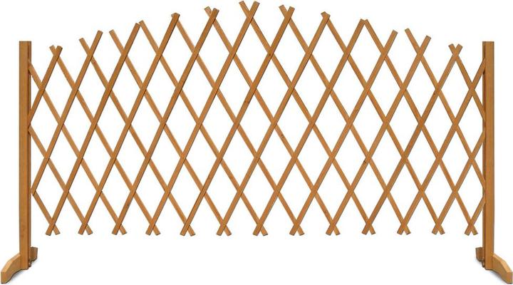 Image du produit Deuba Support pour plantes grimpantes (200 cm, 200 cm)