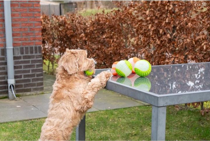 Produktbild Dog Comets Glow in the Dark Moon Orange L (Ballspielzeug Hund)