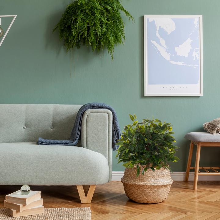 Actual product image Hjh Office Ficus Ii (65 cm)