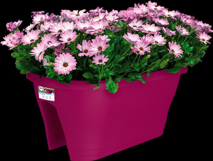 Produktbild Elho Corsica (30 cm)