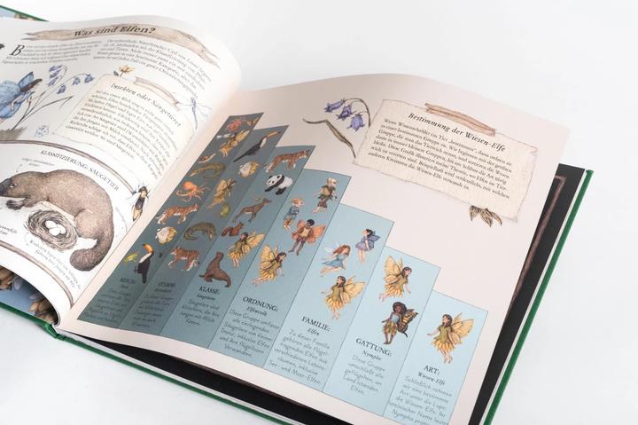 Actual product image Das grosse Handbuch der Elfen (German, Emily Hawkins, Jessica Roux, 2020)