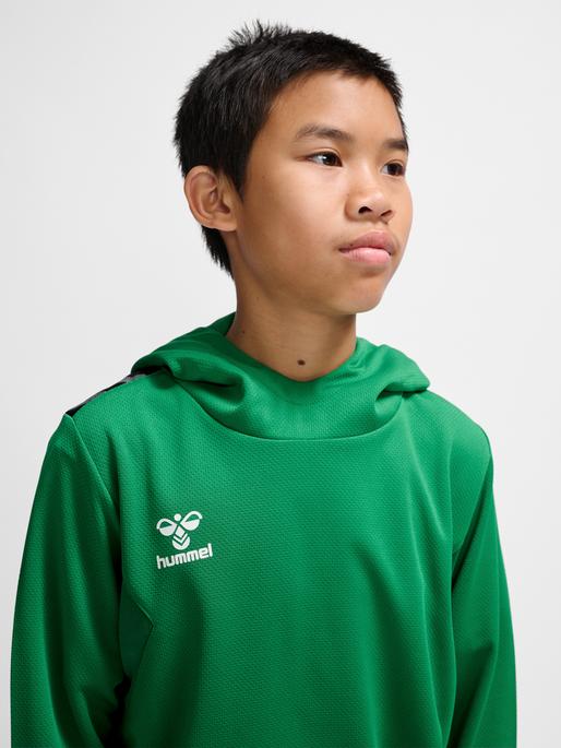 Actual product image hummel Hmlauthentic Pl Hoodie Kids (164)