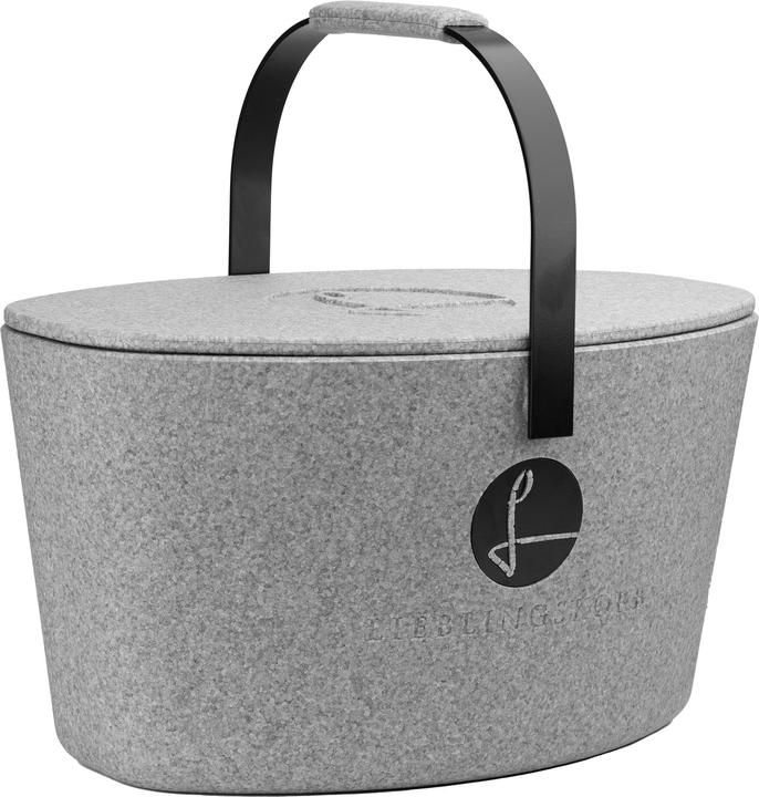 Produktbild Lieblingskorb Kühlkorb Plus