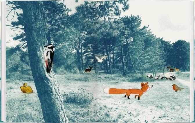 Produktbild Der kleine Fuchs (Deutsch, Edward van de Vendel, 2020)