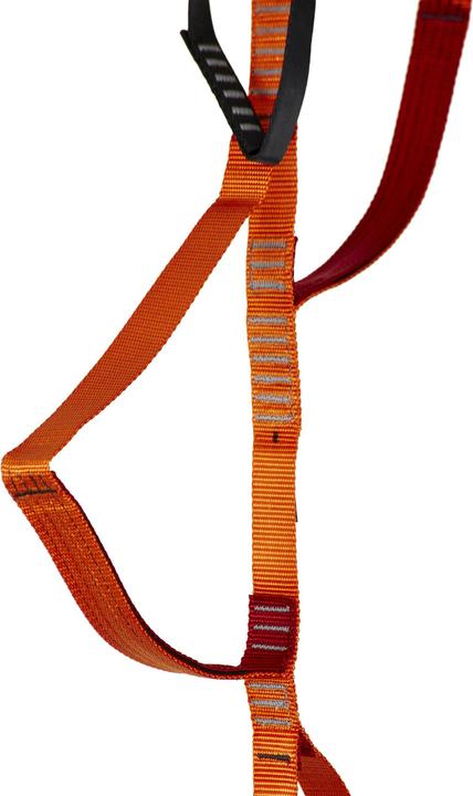 Actual product image Black Diamond Etrier Ladder 5 Step