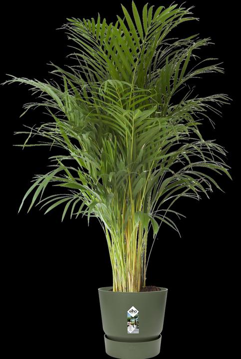 Produktbild Elho Greenville (39 cm)