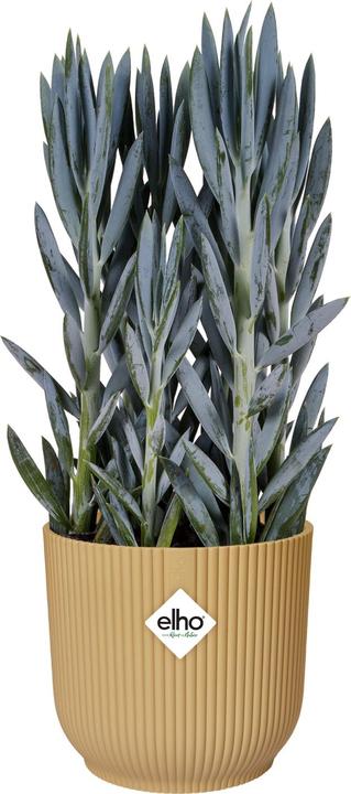 Immagine prodotto Elho Vibes Fold (18.30 cm)