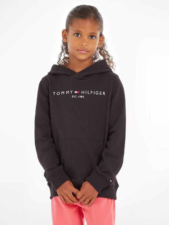 Image du produit Tommy Hilfiger Hoodie Essentiel (92)