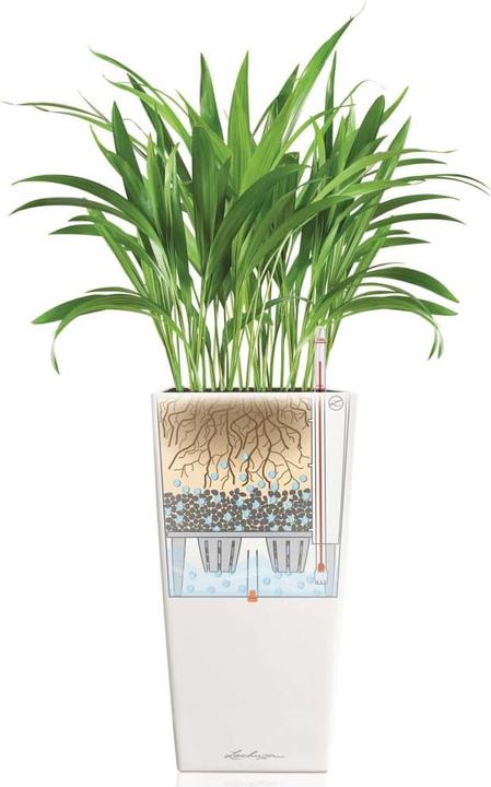 Actual product image Lechuza Cubico Color (29.50 cm)