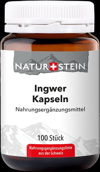 Naturstein Ingwer (100 Stück, Kapseln, 147 g)