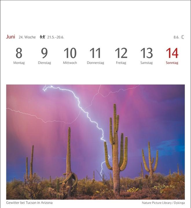 Produktbild Harenberg Farben der Natur Postkartenkalender 2026 - Wochenkalender mit 53 Postkarten (Harter Einband, Deutsch)