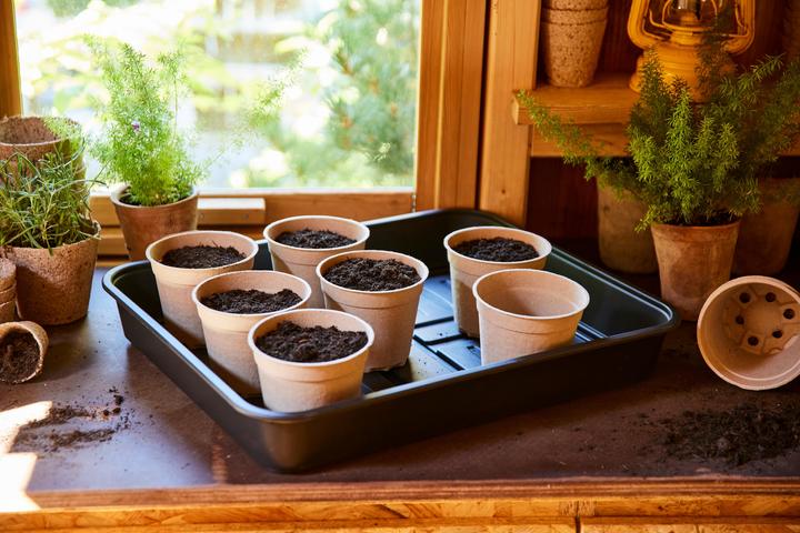 Immagine prodotto Siena Garden Confezione da 10 vasi di coltura ECO Ø 12 cm
