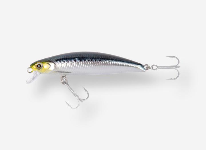 Caperlan Saxton (7.50 cm)