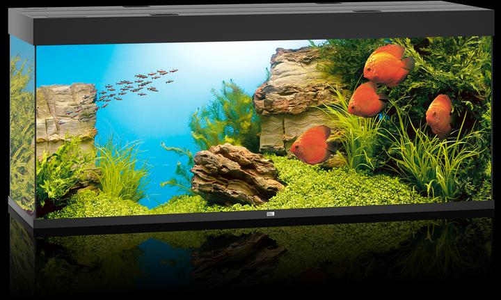 Image du produit Juwel Aquarium Rio (450 l)
