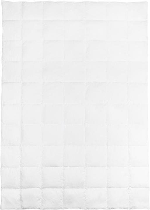 Produktbild Aspero Winter Daunendecke 2-teilig (840 g, 135 x 200 cm)