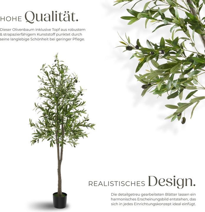 Immagine prodotto tectake Olivenbaum Oleand (180 cm)