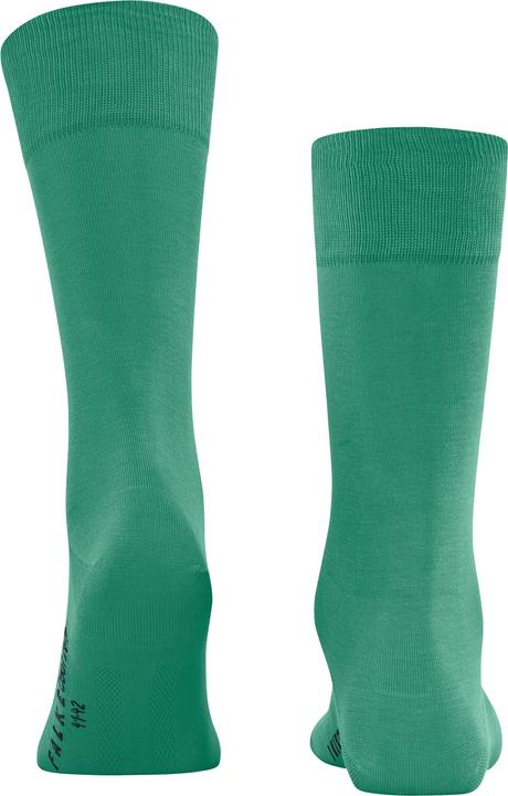 Actual product image Falke Cool 24/7 Herren (41 - 42)