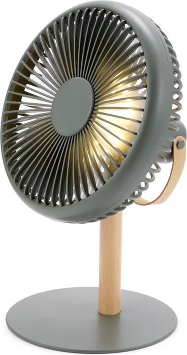 Image du produit Gingko Au-delà de