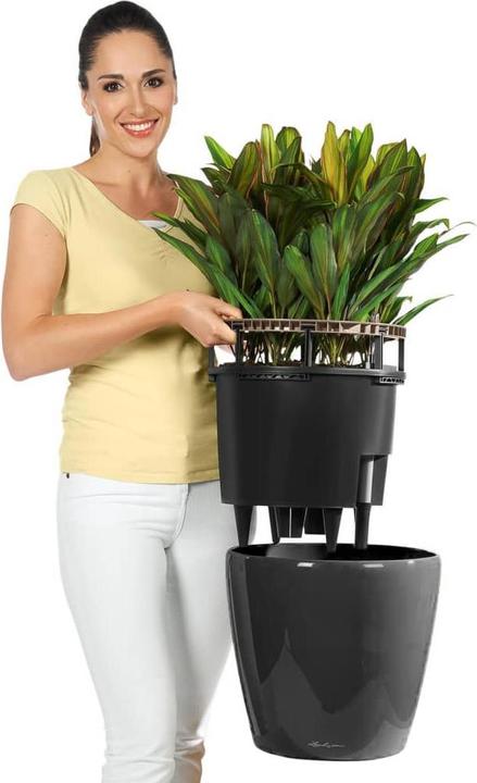 Actual product image Lechuza Classico (43 cm)