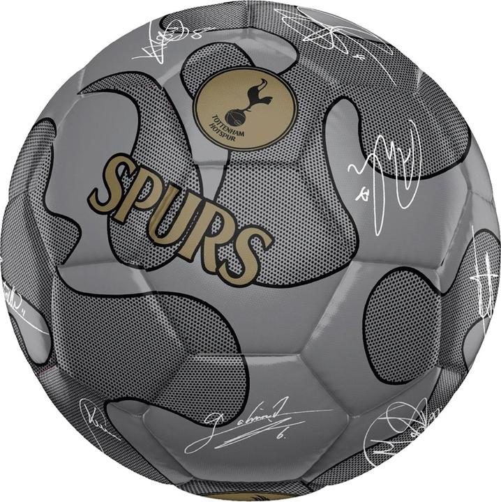 Tottenham Hotspur FC Fussball mit Unterschriften (5)