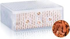 Image du produit Juwel Aquarium Phorax (Filtres internes, Eau douce, Eau salée)