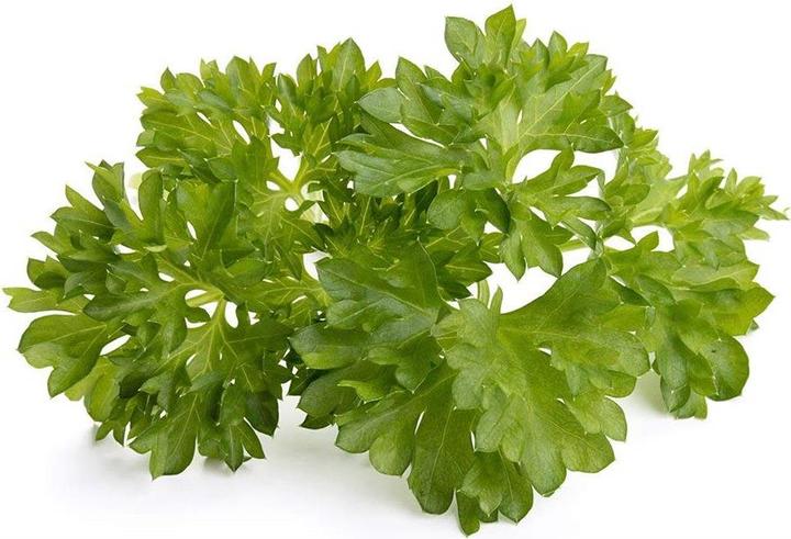 Actual product image Click and Grow Substrate capsule curly parsley (Herb seeds)