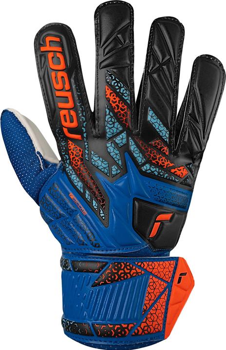 Reusch Football Attrakt Solid (8)