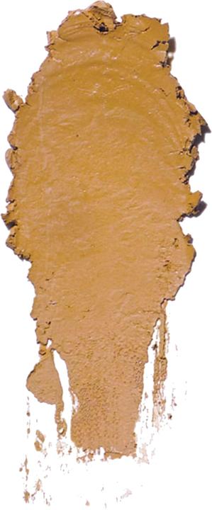 Image du produit Bobbi Brown Stick fond de teint (N° 6 - Golden)