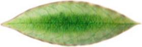 Produktbild Costa Nova Riviera (1 x, 5.70 cm)