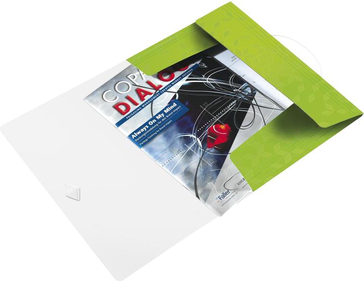 Immagine prodotto Leitz Cartella WOW (A4, 1 x)
