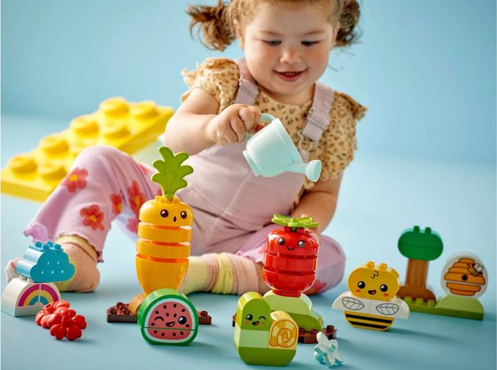 Actual product image LEGO Organic garden (10984)